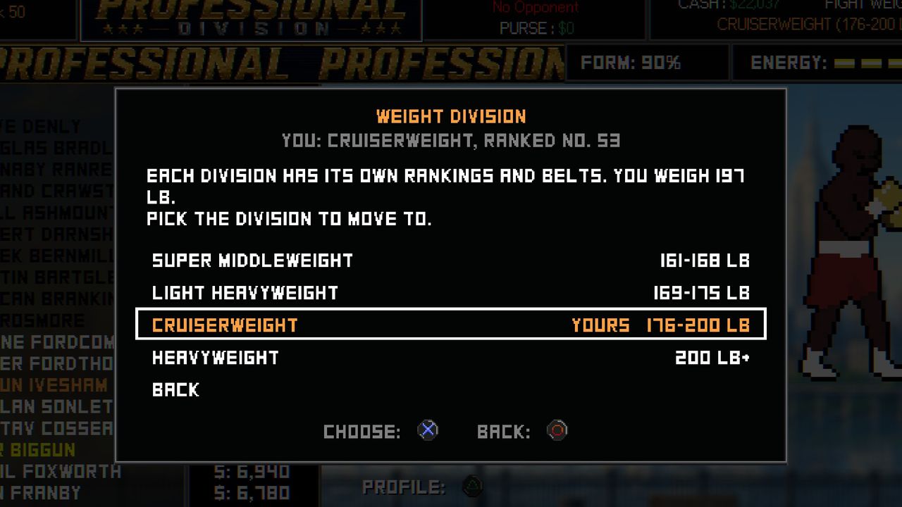 The Weight Division panel: super middleweight 161 to 168 lb, light heavyweight 169 to 175, cruiserweight 176 to 200 marked as yours, and heavyweight 200 lb and up